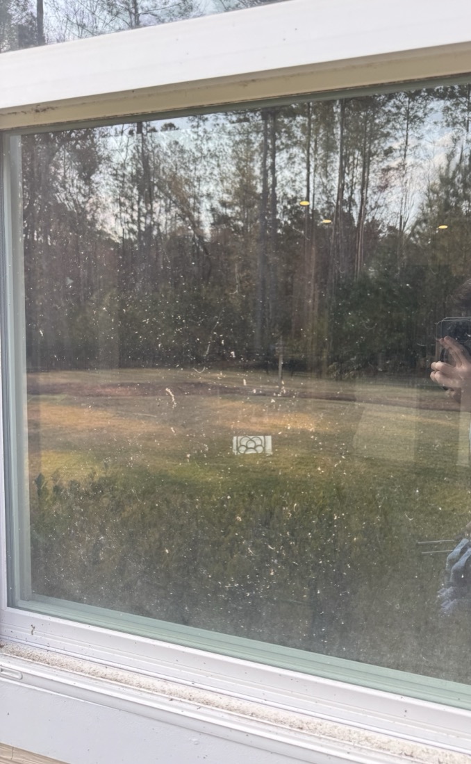 Before: exterior window covered in pollen, debris and water spots